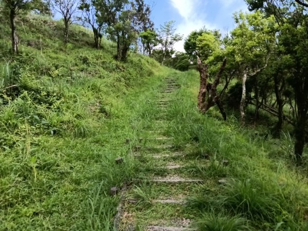 坪林區司公髻尾山+虎寮潭吊橋+粗石斛吊橋+大舌湖步道+漁光派出所2794286