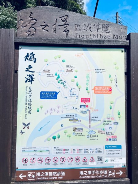 20250227 鳩之澤自然步道2736068