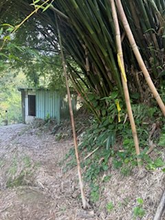 20250517 建安+鳥嘴+雙港子群峰 O型2788278