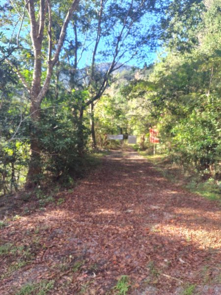 多納六秀 京大山2957579