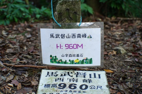 新竹 關西 馬武督山2914171