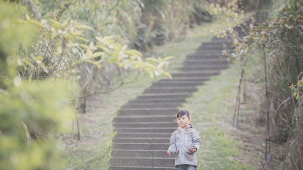 20200411-五分山步道918741