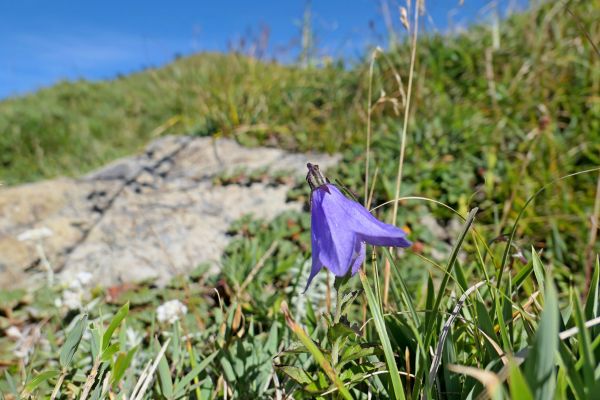 合歡南峰、小風口山、卡拉寶山輕鬆走   212241