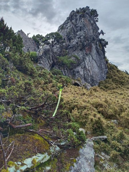 20220625台東海端向陽山、向陽山北峰、三叉山、嘉明湖1745662