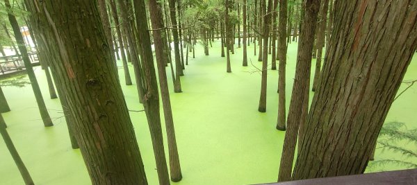 青山湖3089603