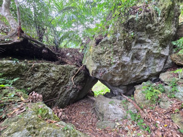 麻荖漏步道、彩虹瀑布2697933