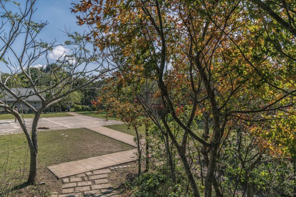 觀音山(北橫古道)1542402