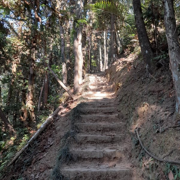 小百岳No.33⛰仙山2399753