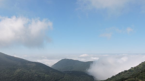 再見陽明山雲海1178738