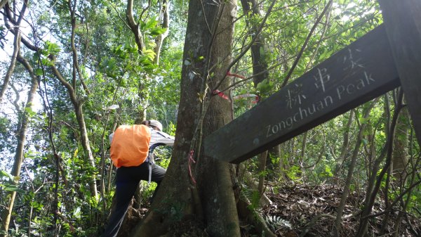 安坑五山縱走2784682