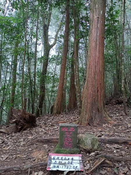 【谷關七熊,山林美境尋寶趣】屋我尾山步道1108295