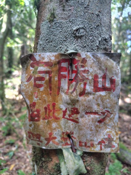 南東眼山連走有勝山2918756
