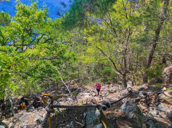 波津加山/谷關七雄老四1638626