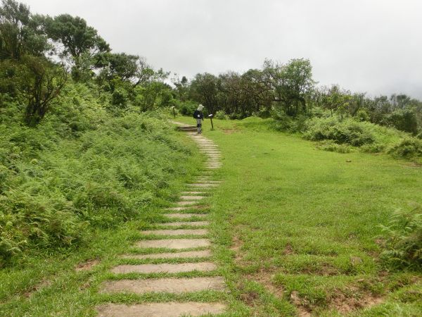 桃源谷．灣坑頭山步道140938