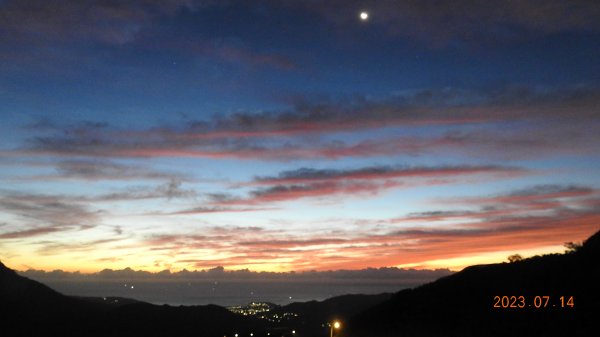 雲山水花鳥蝶 - 天龍國阿伯的日常，沒鳥也沒蝶槓龜 7/14&172217401