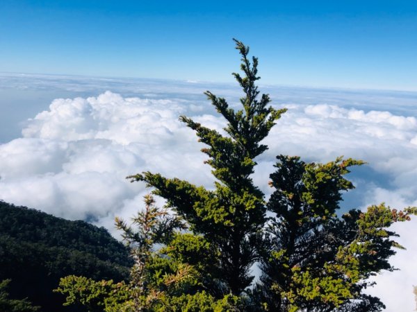 我的第一座百岳⋯北大武單攻502810