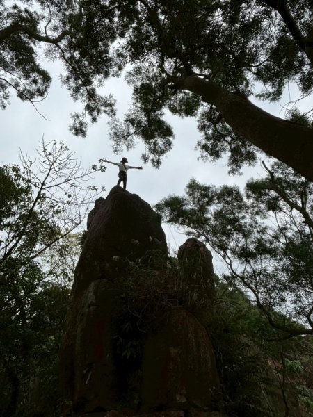 圓通寺烘爐地登山步道大O走3007148