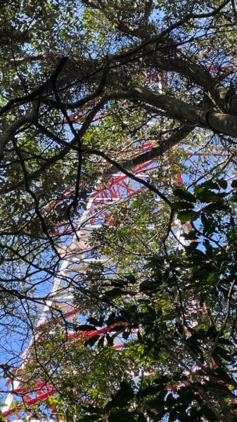 十份棟古道出雲端2688940