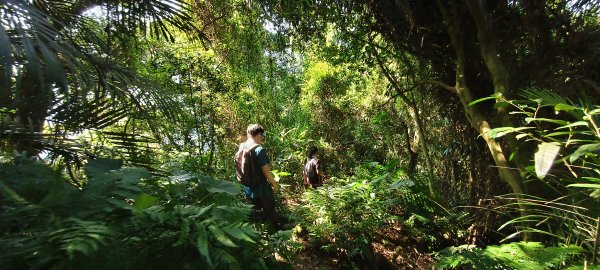 2025/08/09_赤柯山+東獅頭山步道2856300