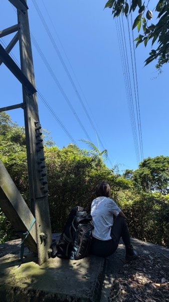彩油3066383