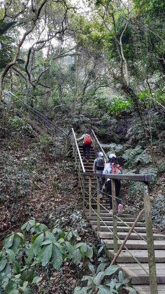 《彰化》社頭18彎古道上橫山＋山湖步道O型202102281287528