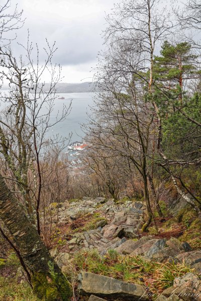 [挪威卑爾根Bergen] Stoltzekleiven Fløyen 健行步道2490906