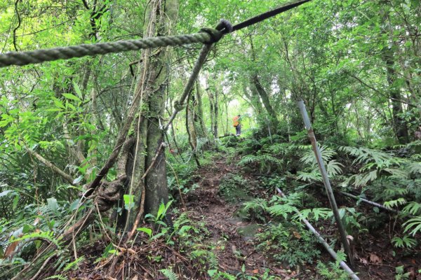 崩山大崙-石碇大崙2799079