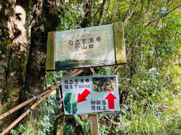 1140825司馬庫斯新巨木園區-司立富瀑布-部落觀景台2871231