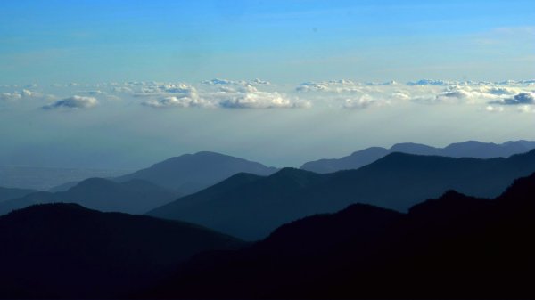 深秋限定~沒到過銅山別說看過山毛櫸447180