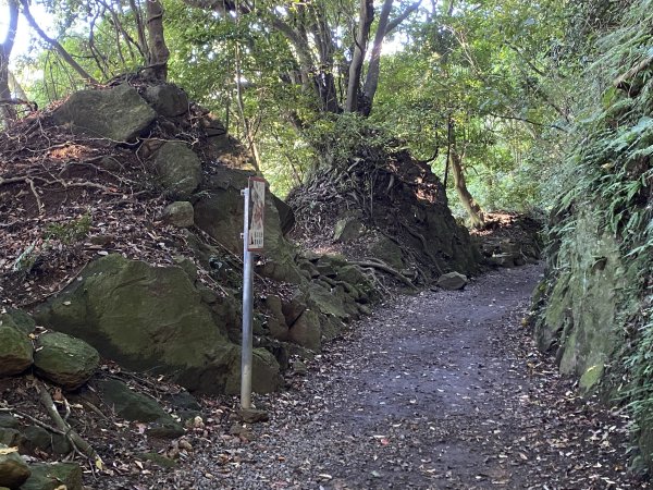 2024/09/16 天母古道（水管路） 紗帽山2884395