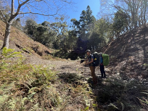 卡社山、拉夫朗山、加年端山 O型縱走 (二)1351302