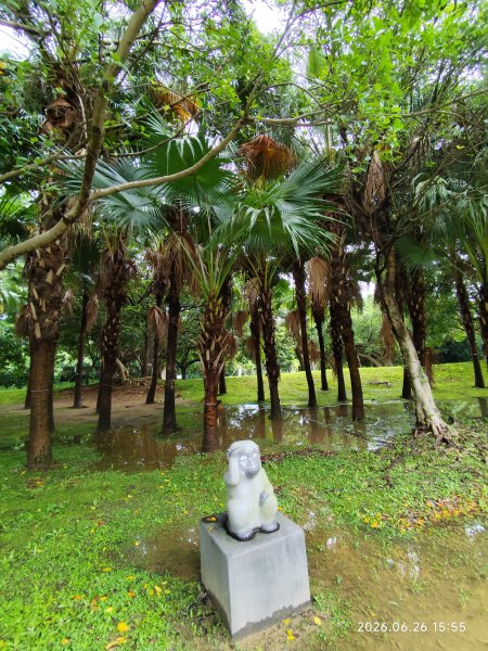 內湖瑞光公園3083334