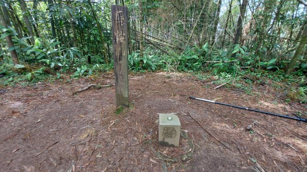 雲嘉九連峰1438947