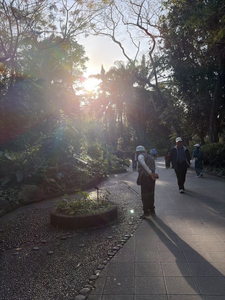 台北 植物園步道3019071