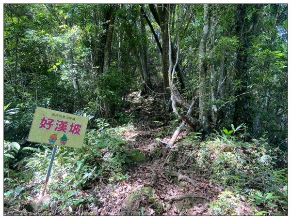 赤柯山、赤柯山南峰、東獅頭山 O型路線2785416