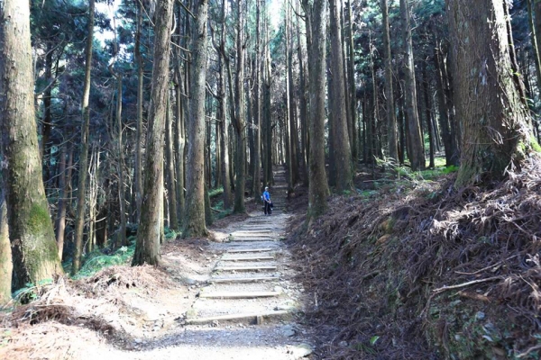 特富野古道41290