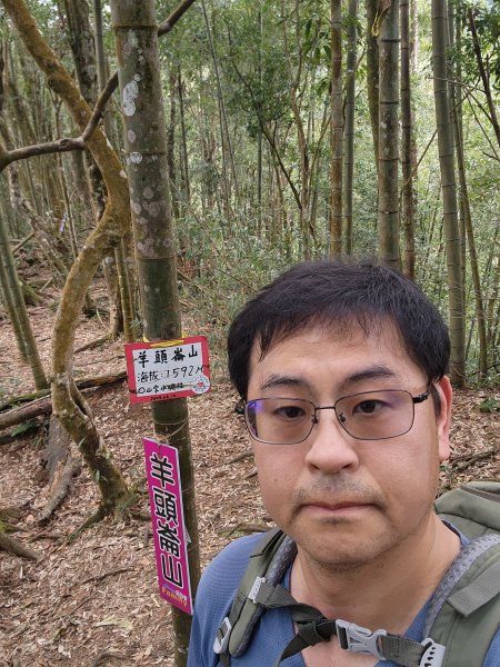 20251228溪頭山龍鳳山嶺頭山O型2992381