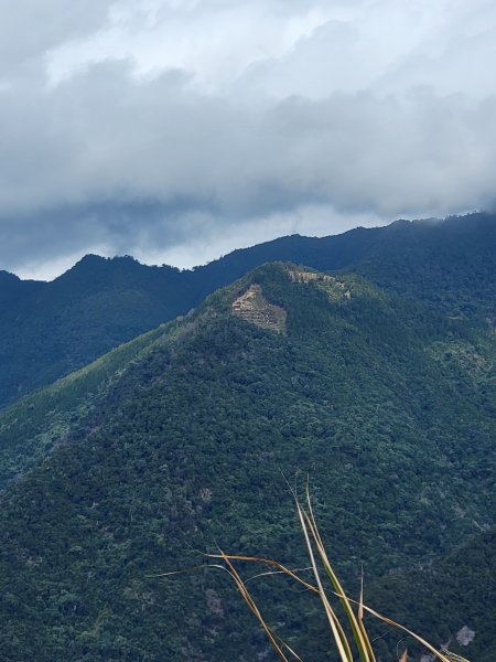 2026-0201-東卯山3013029