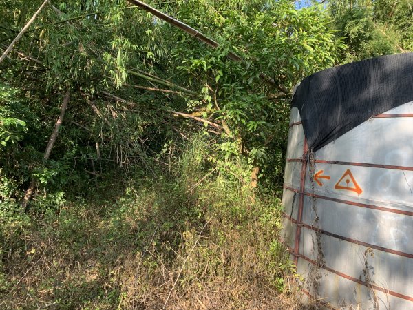 20251115台南南庄山2938063