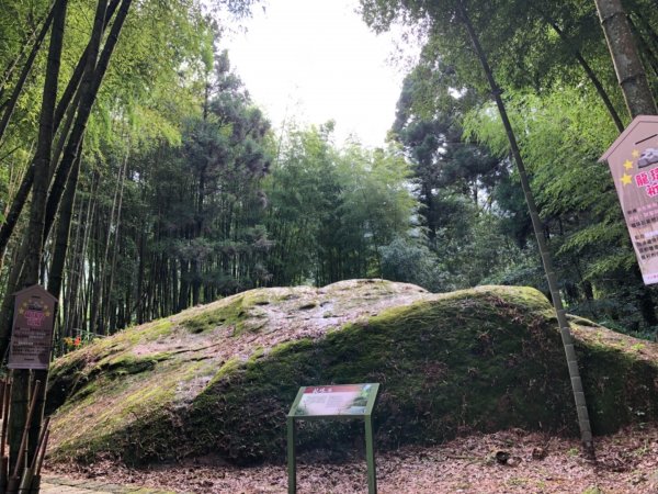 頂湖步道再訪芙蓉山、大凍山、霹靂山637272