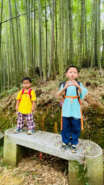 🌈17（日）雲嶺之丘+五元二角+木馬古道✨FB：熊熊趴爬走🌈2861676