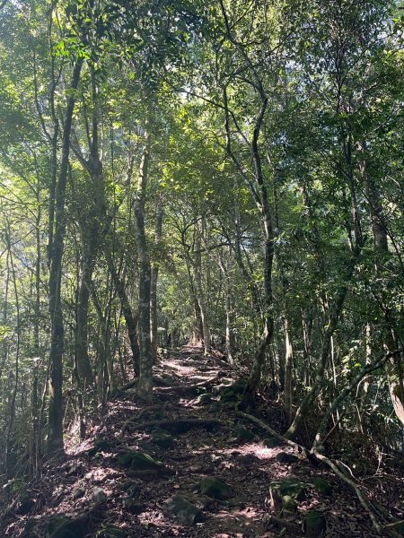 2025/6/28馬那邦山2823660