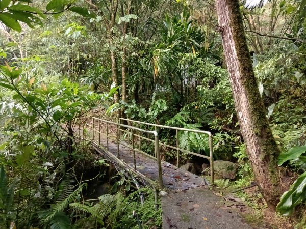 平溪區善覺寺步道+畝畝山北稜線+畝畝山+石硿子瀑布+灰窯瀑布O型2940001