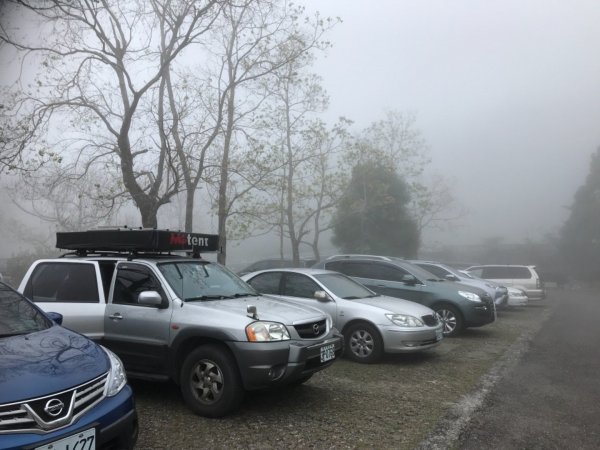 東眼森林遊樂區慢活樂趣526135