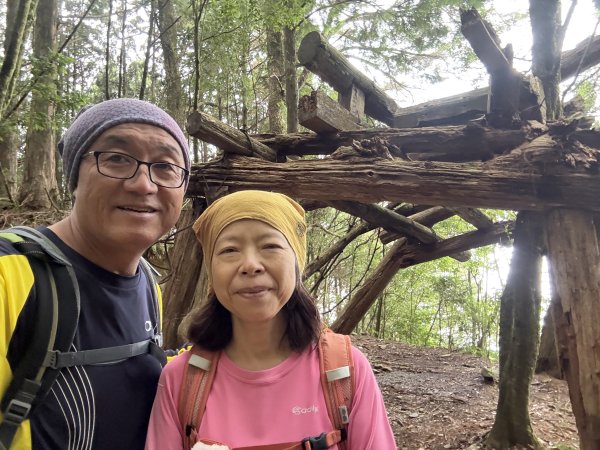 回程下雨的 松鶴上 八仙山 202510252925757