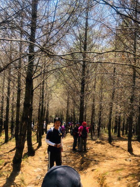 1090413中之關天池-初嚐梅子雞940901