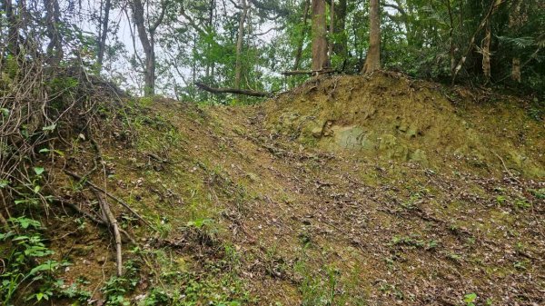 20260417白石下山-金山西峰-蕩跋山-劉家界山-老社寮山-新富山O行3041763