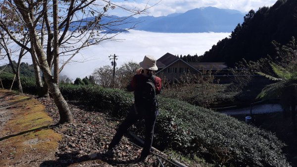 《新竹》幸福雲海｜鵝公髻山步道X山上人家202211051900101