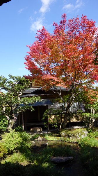 日本京都嵐山651969