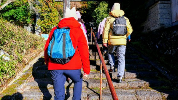 郡上八幡城的白帆2982594